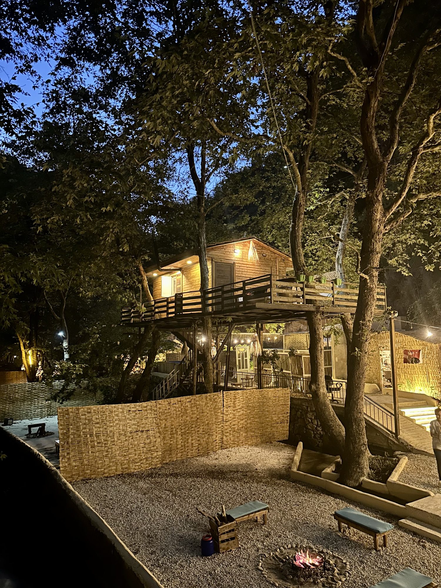 Treehouse 7