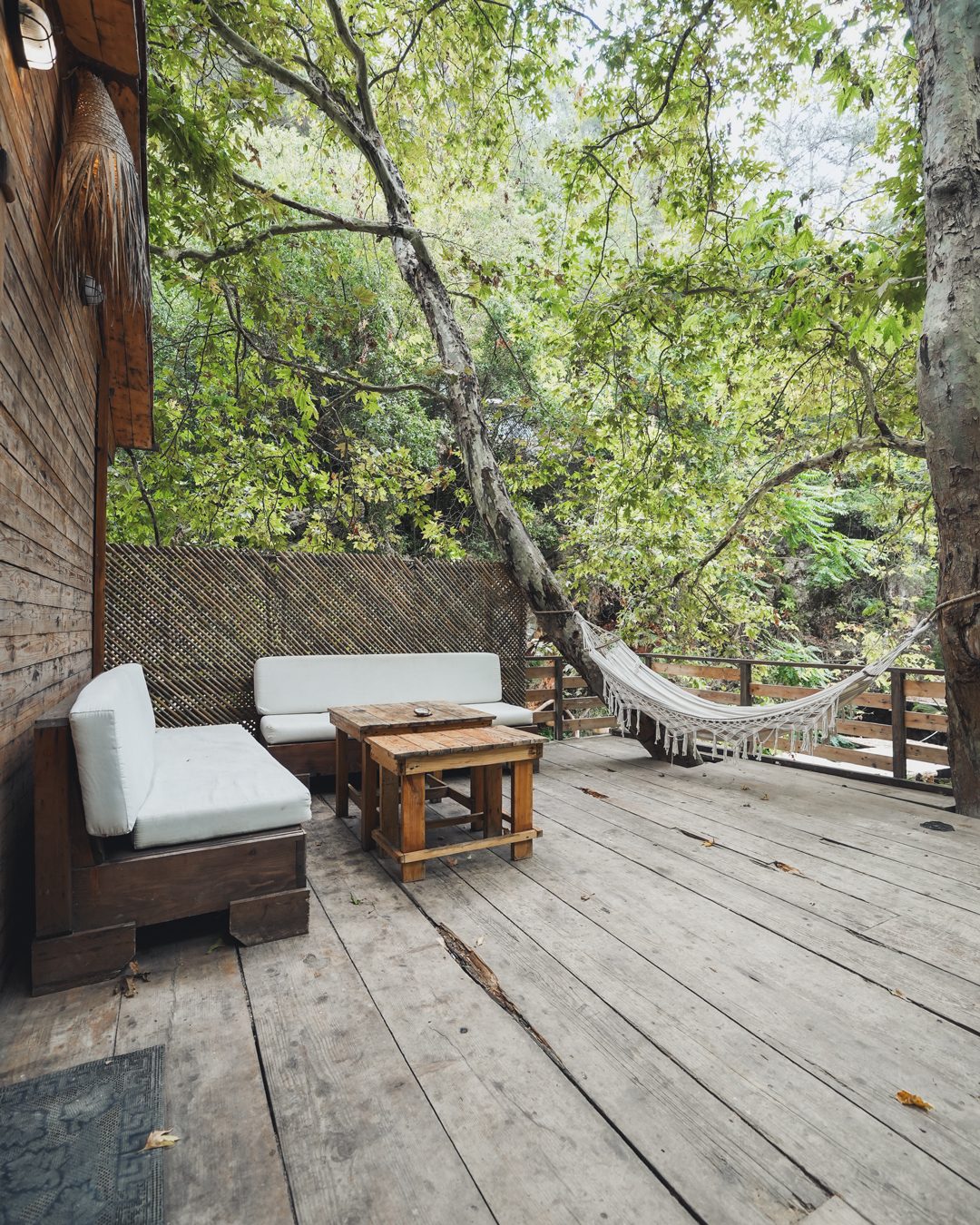 Treehouse 3
